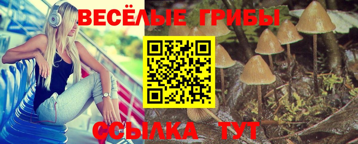 Псилоцибиновые грибы мицелий Кыштым