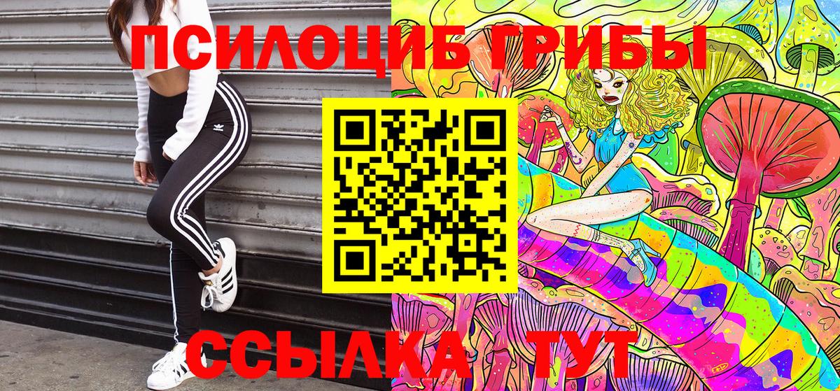 Псилоцибиновые грибы Psilocybe  Вход с VPN  Кыштым 